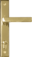 Polished Brass